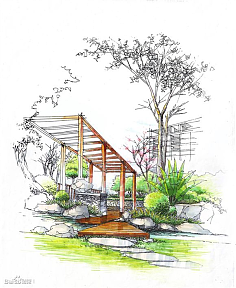 景觀植物單體在景觀設計中的角色與策略